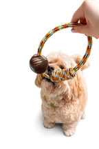 PELOTA DE TENIS MASCOTAS - KIBOO