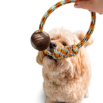 PELOTA DE TENIS MASCOTAS - KIBOO