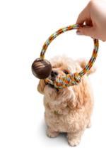 PELOTA DE TENIS MASCOTAS - KIBOO