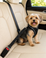 CINTURÓN DE AUTO PARA PERRO - KIBOO